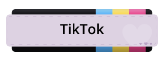 TikTok Panel from Pansexual Pride Panel Theme.